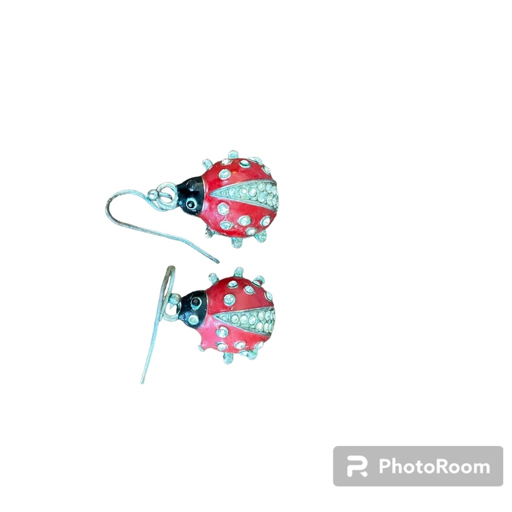 Vintage Lady Bug Earrings 🐞